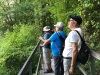 Wandern-6